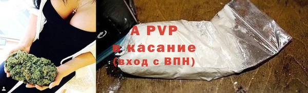 гашик Бородино