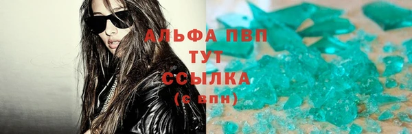 индика Верхний Тагил