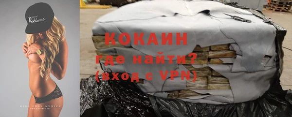 индика Верхний Тагил