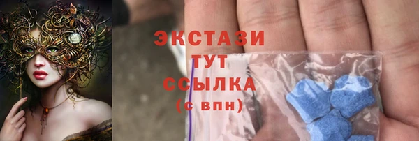 индика Верхний Тагил
