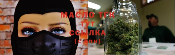 индика Верхний Тагил