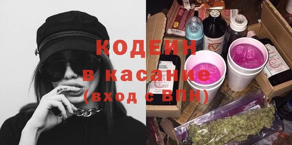 индика Верхний Тагил