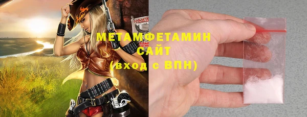 индика Верхний Тагил