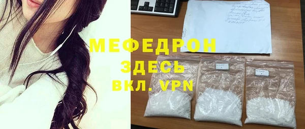 индика Верхний Тагил